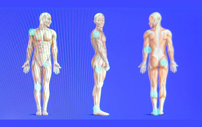 Impactis M + ist ein Stoßwellengerät für Therapeuten - Bild zeigt den blauen Bildschirm mit anatomischer Ansicht der zu behandelnden Körperregionen - Astar Therapiegeräte